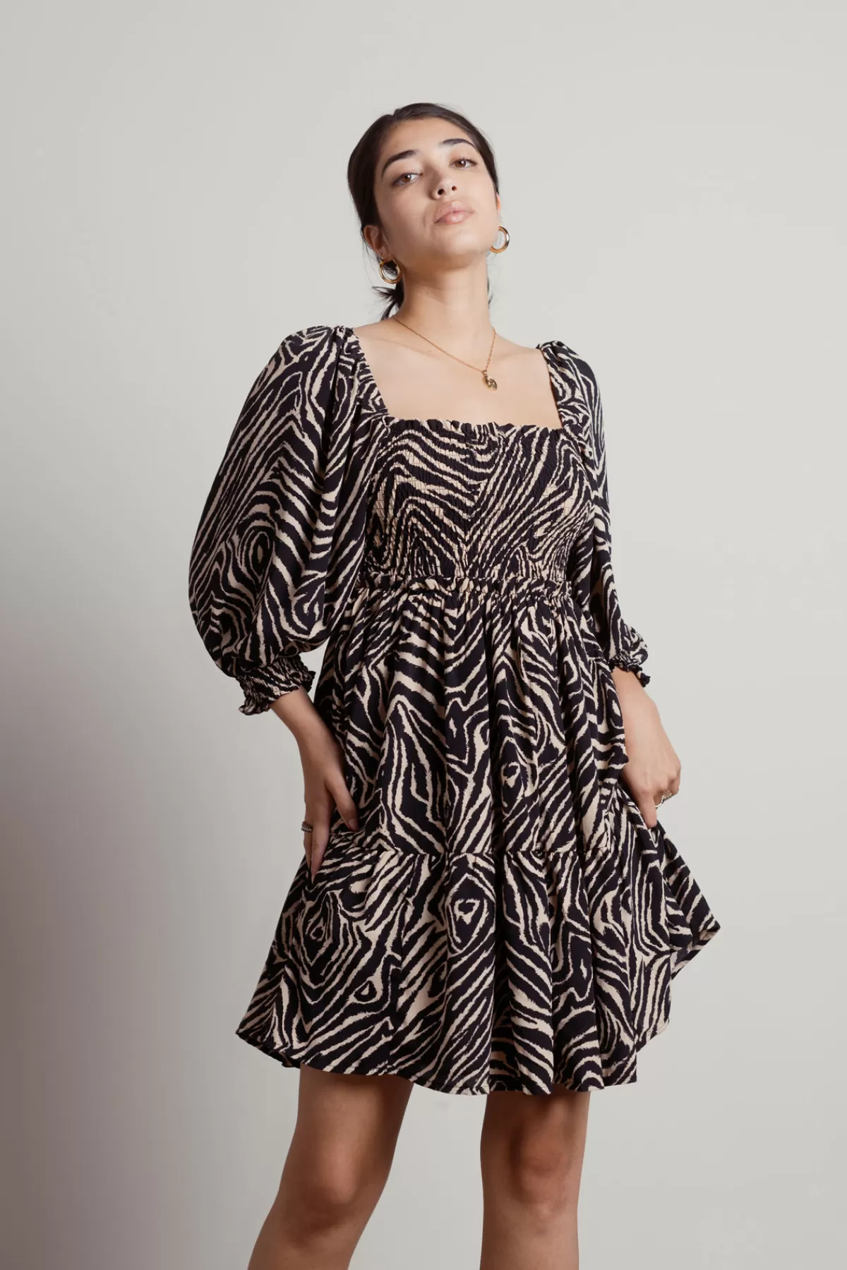 Tobi Savana Zebra Print Skater Mini Dress - * Honeymoon Outfits | Bump Friendly Dresses